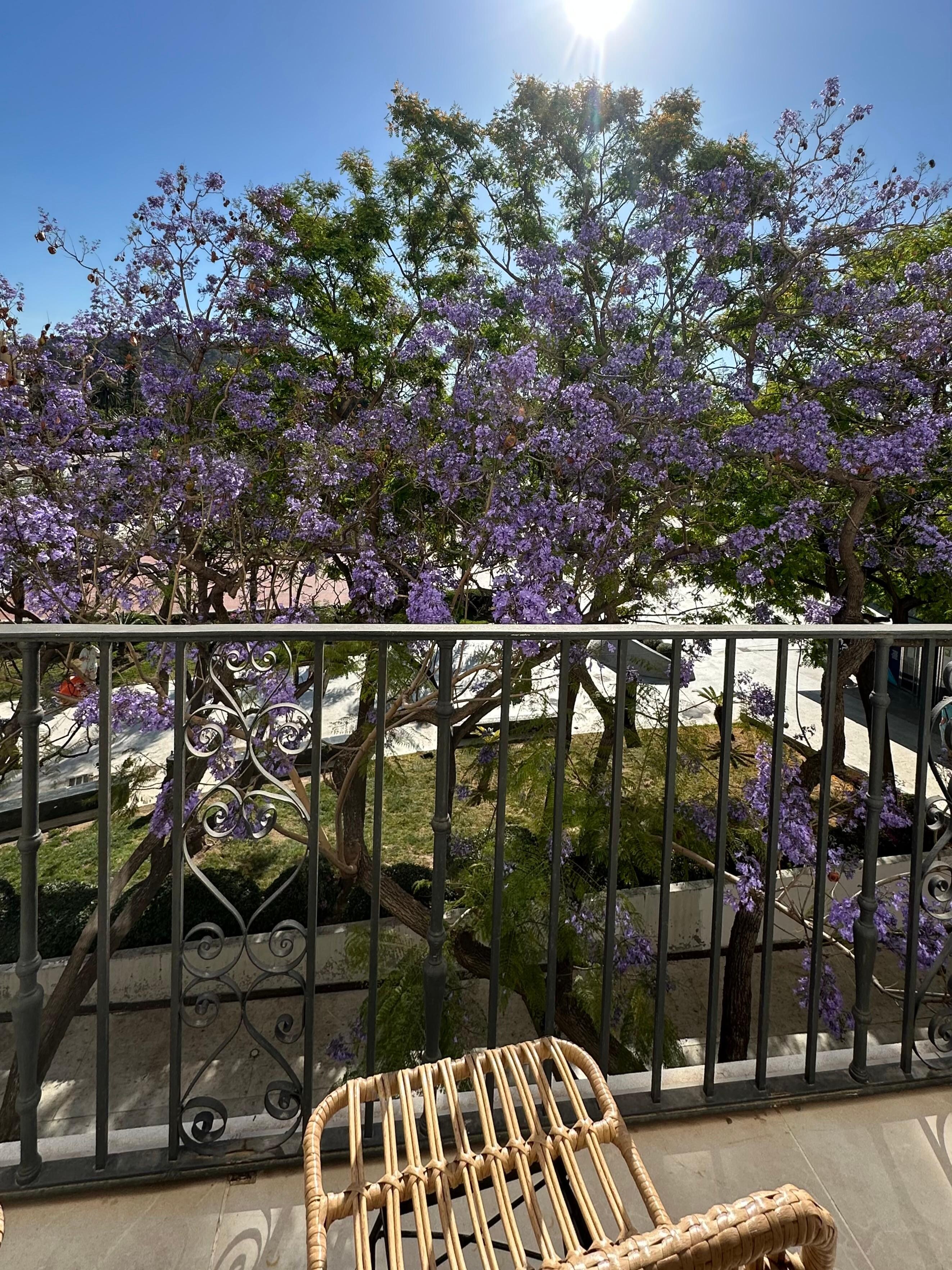 Photo prise du balcon de notre chambre.
