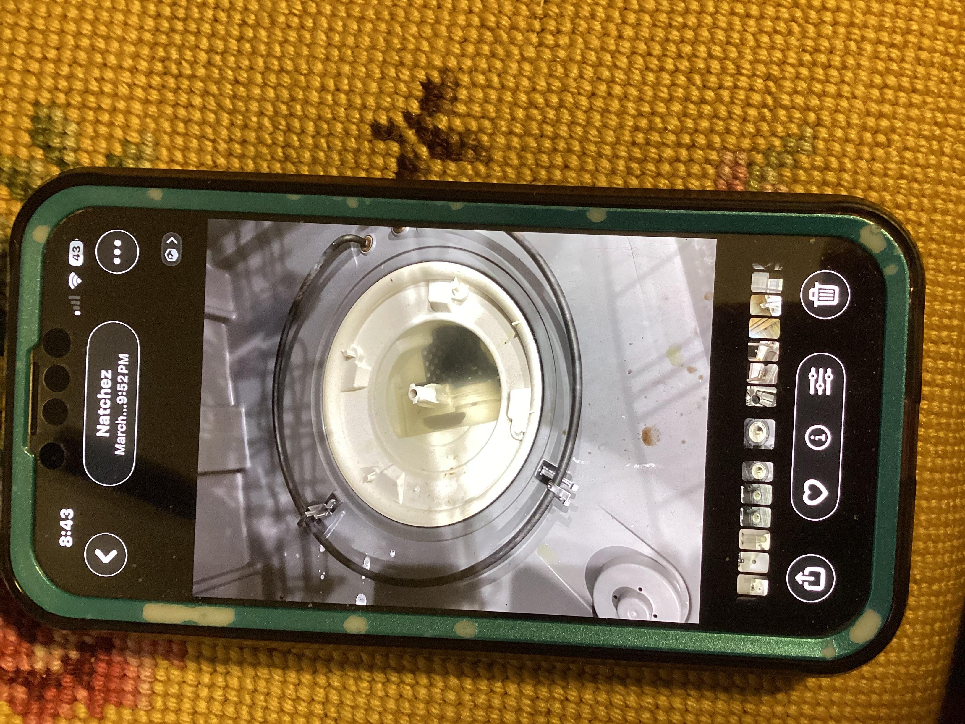 Inside of dishwasher with standing dirty stinky water