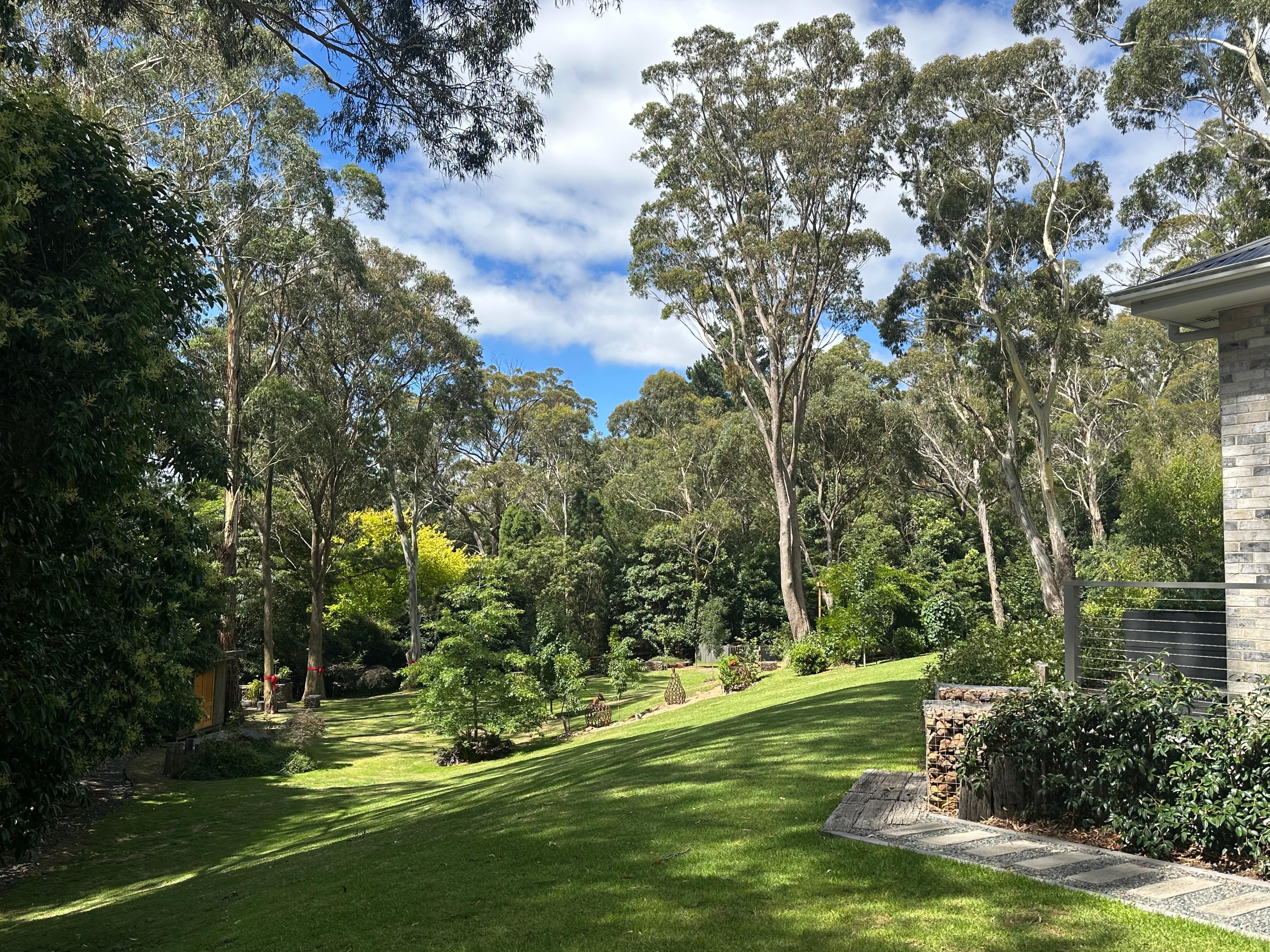 Peaceful and relaxing. 