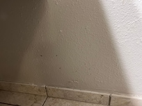 Poop on walls