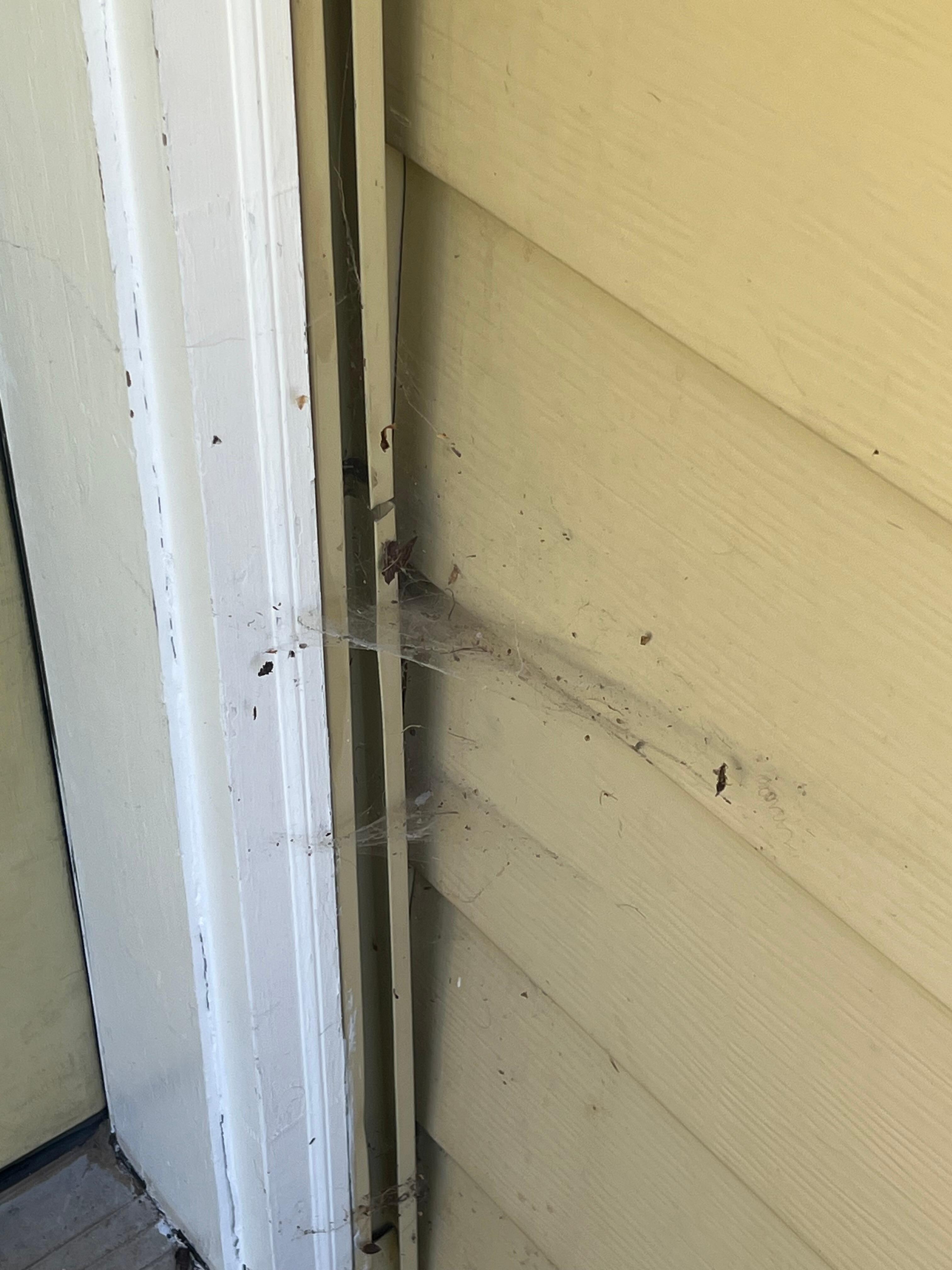 Spiders and cobwebs at entrance doir