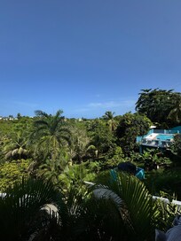 View from back balcony