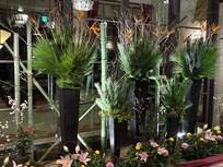 ๆญฃๆ้ฃพใ