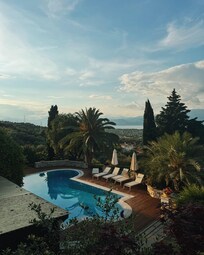 The pool in the late afternoon, and a visitor