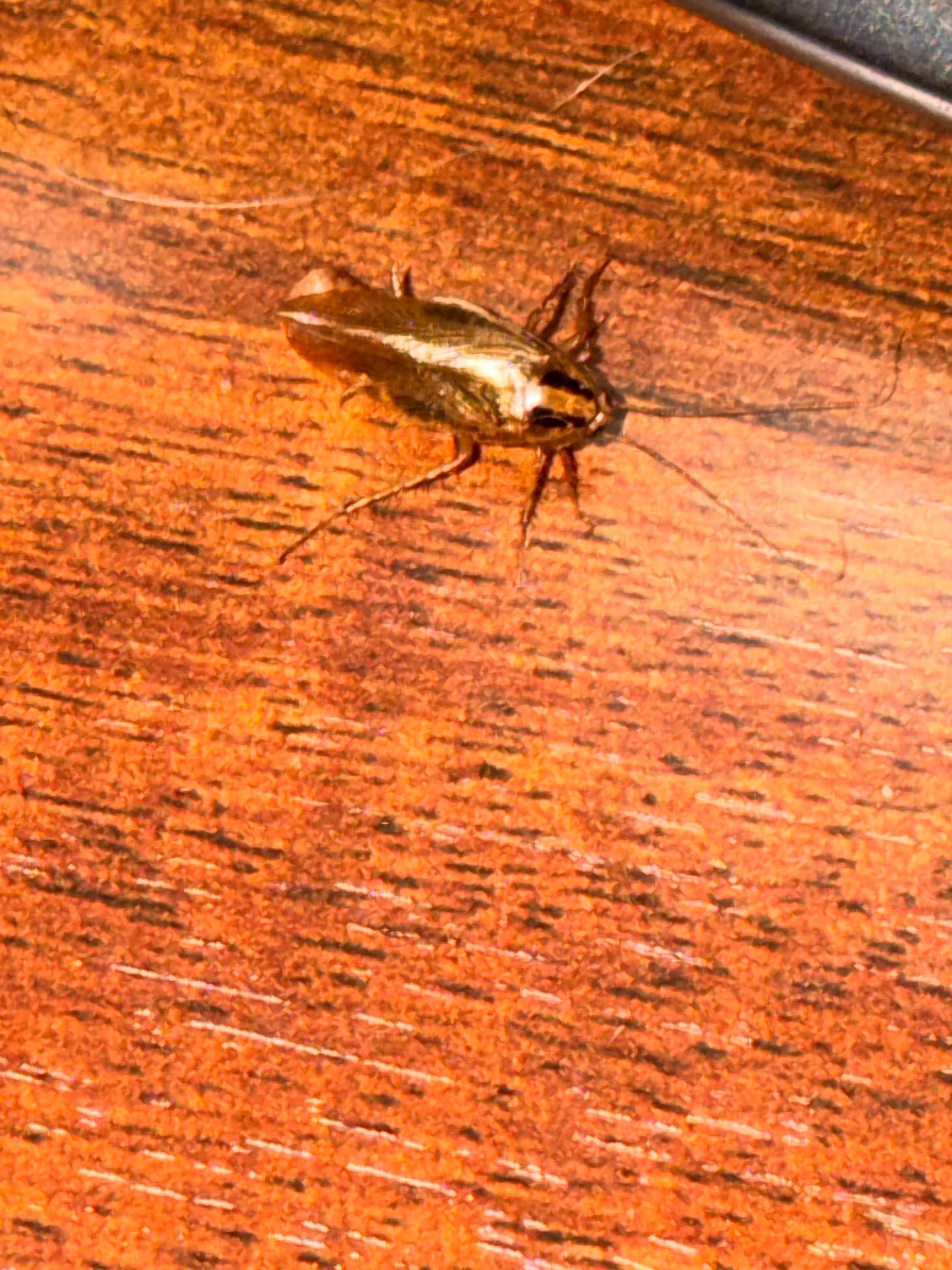 This was stand next to the bed