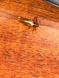 This was stand next to the bed