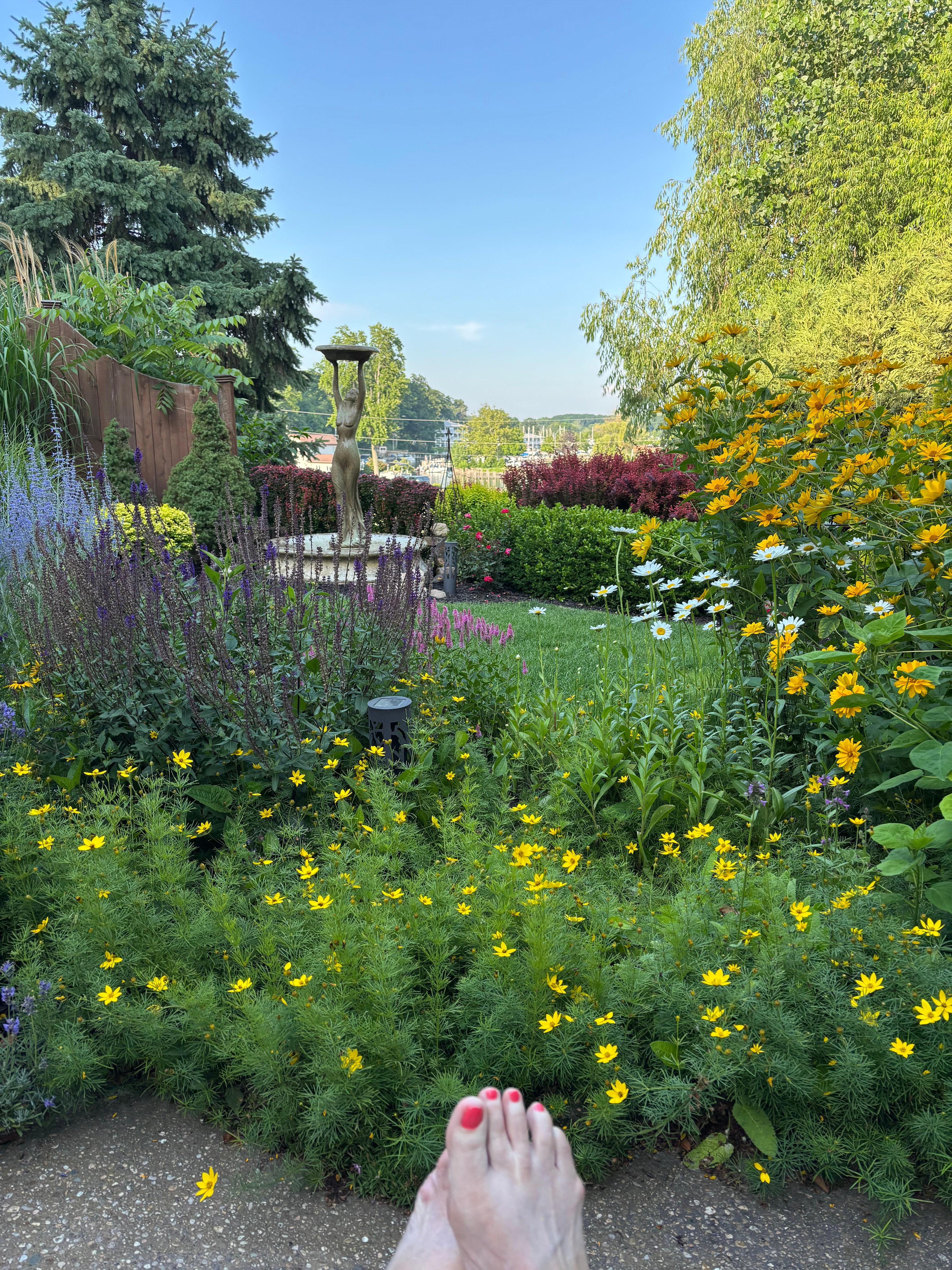 Morning coffee in the beautiful back yard was where you would find me.