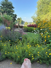 Morning coffee in the beautiful back yard was where you would find me.