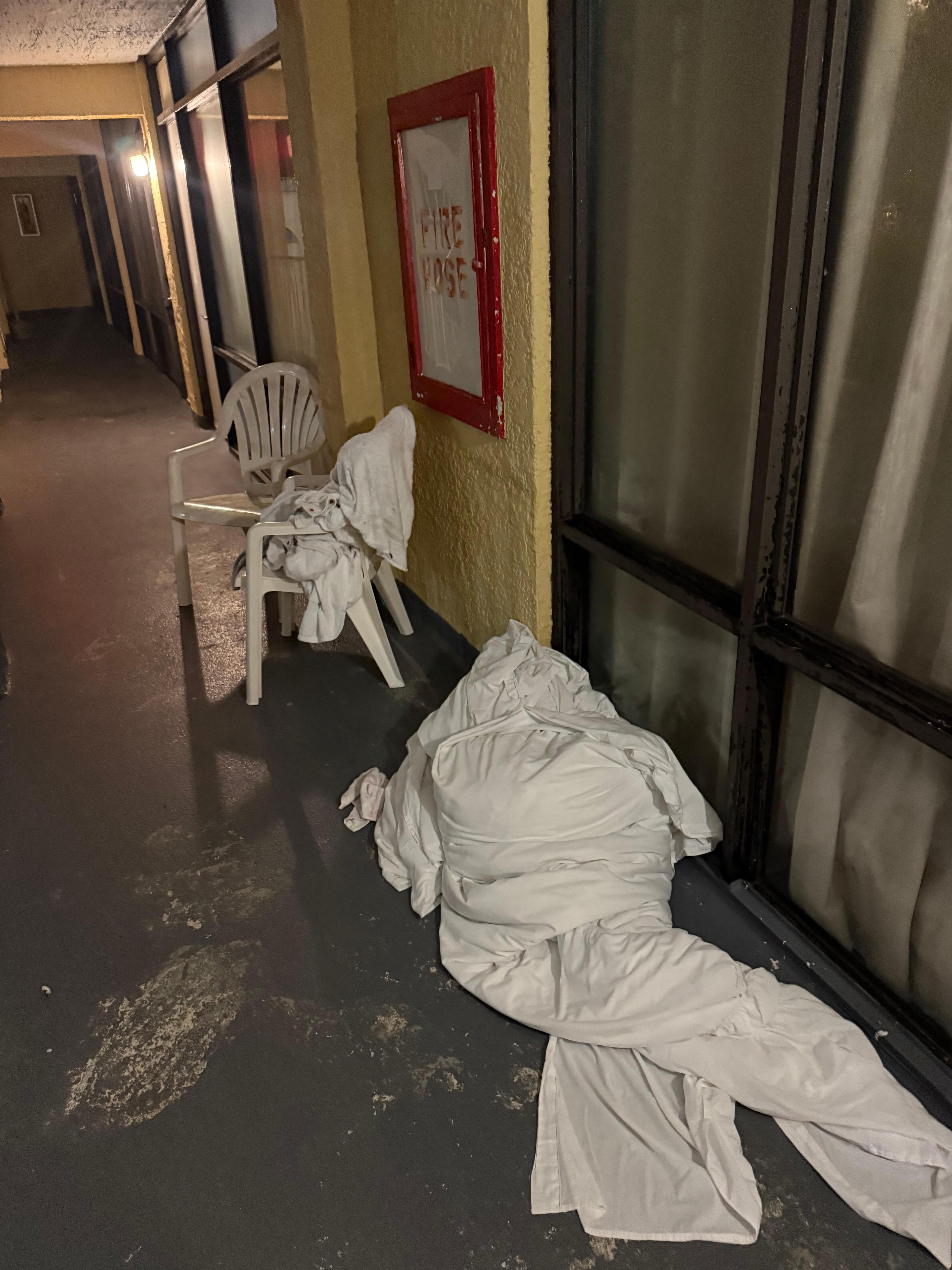 This was laying outside our door for two days.