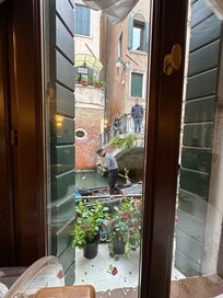 View from breakfast room