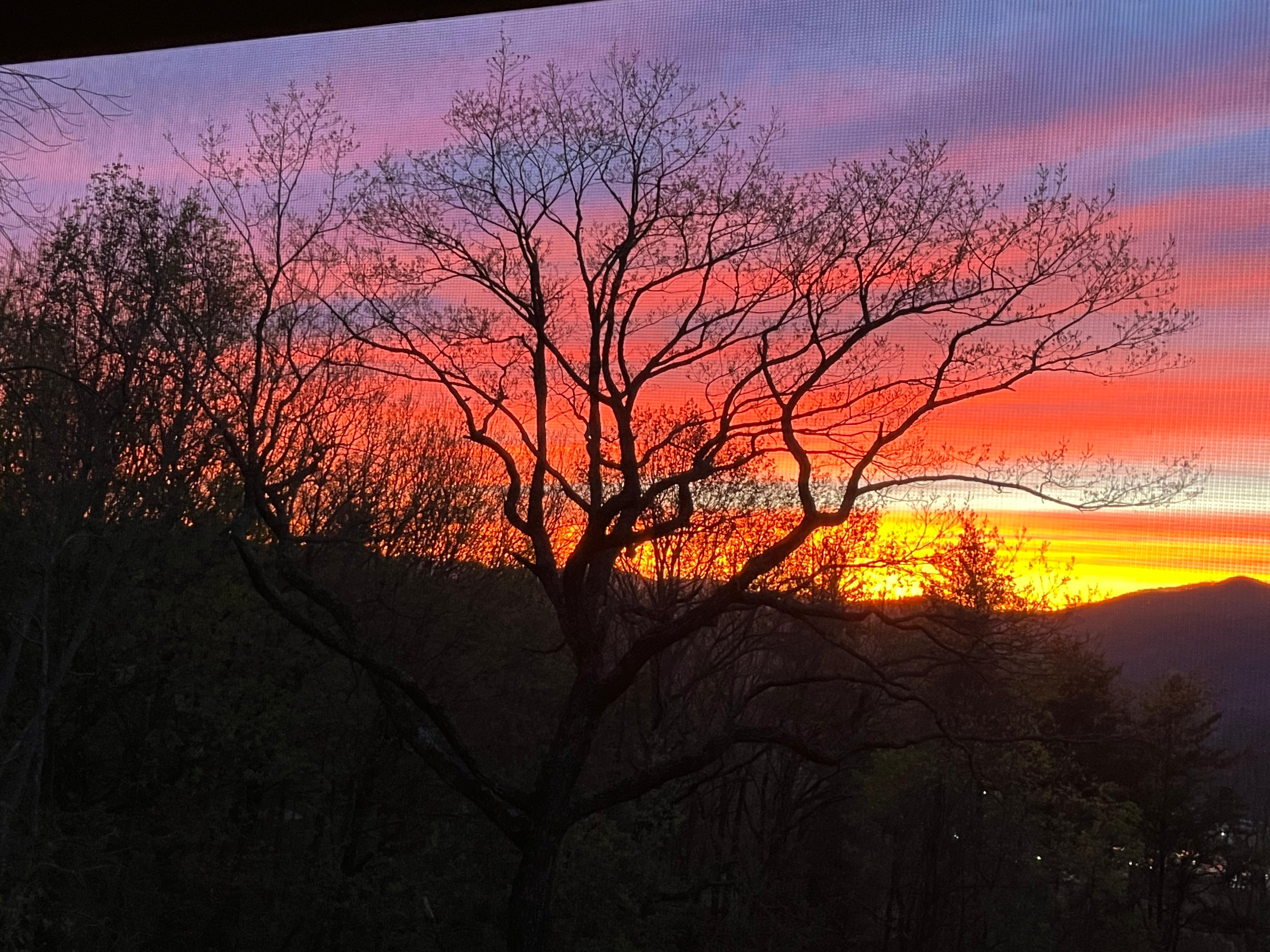 View of the sunset from the back porch