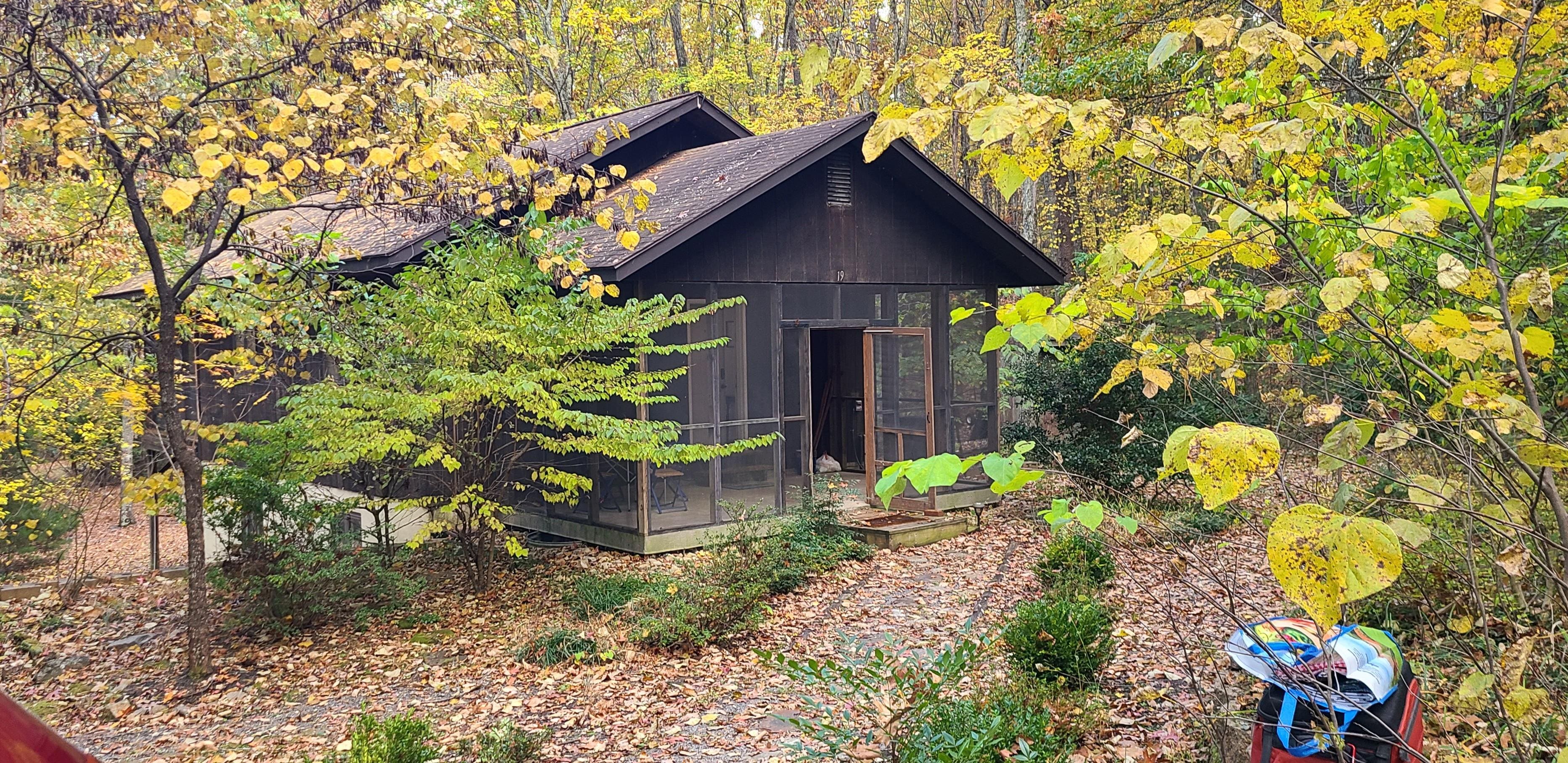 Mountain Town Adventure at the Cabin in the Woods 