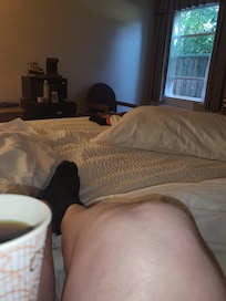 Comfy Bed!