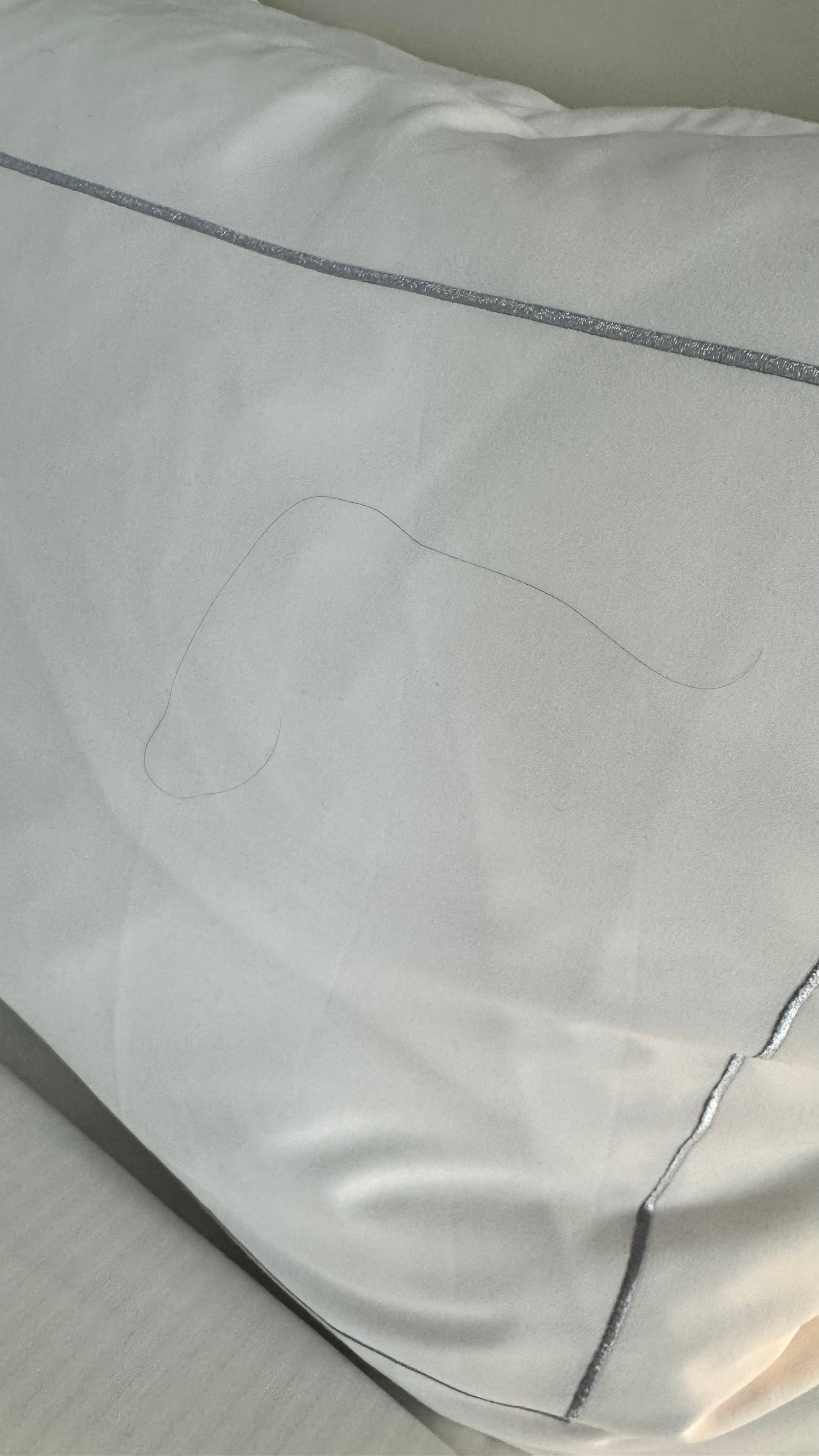 Hair on the pillow