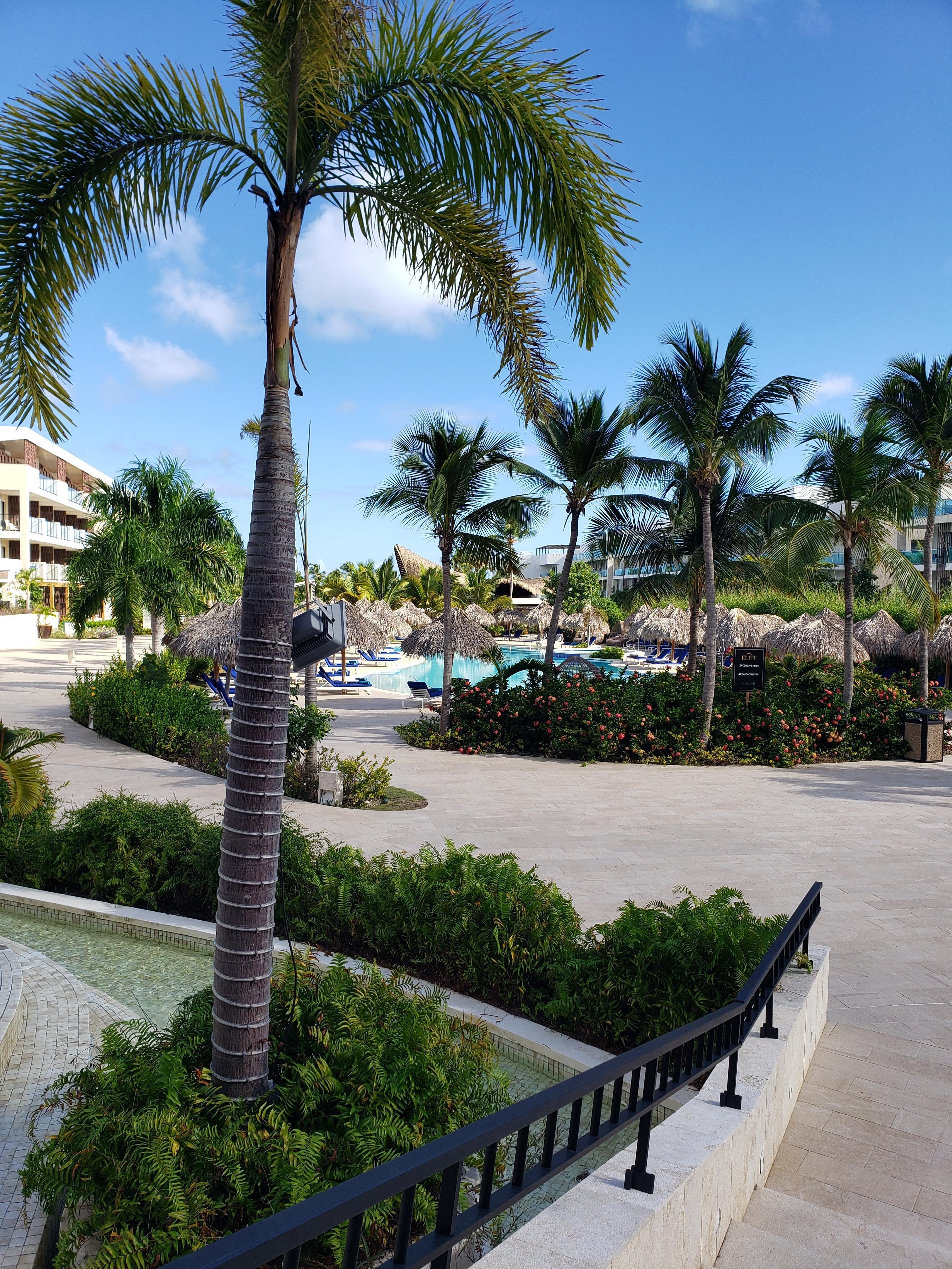 Swimming pools everywhere