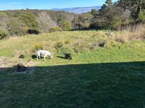 We don’t have SPACE like this in Sydney.