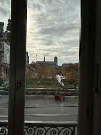 Notre Dame from our window