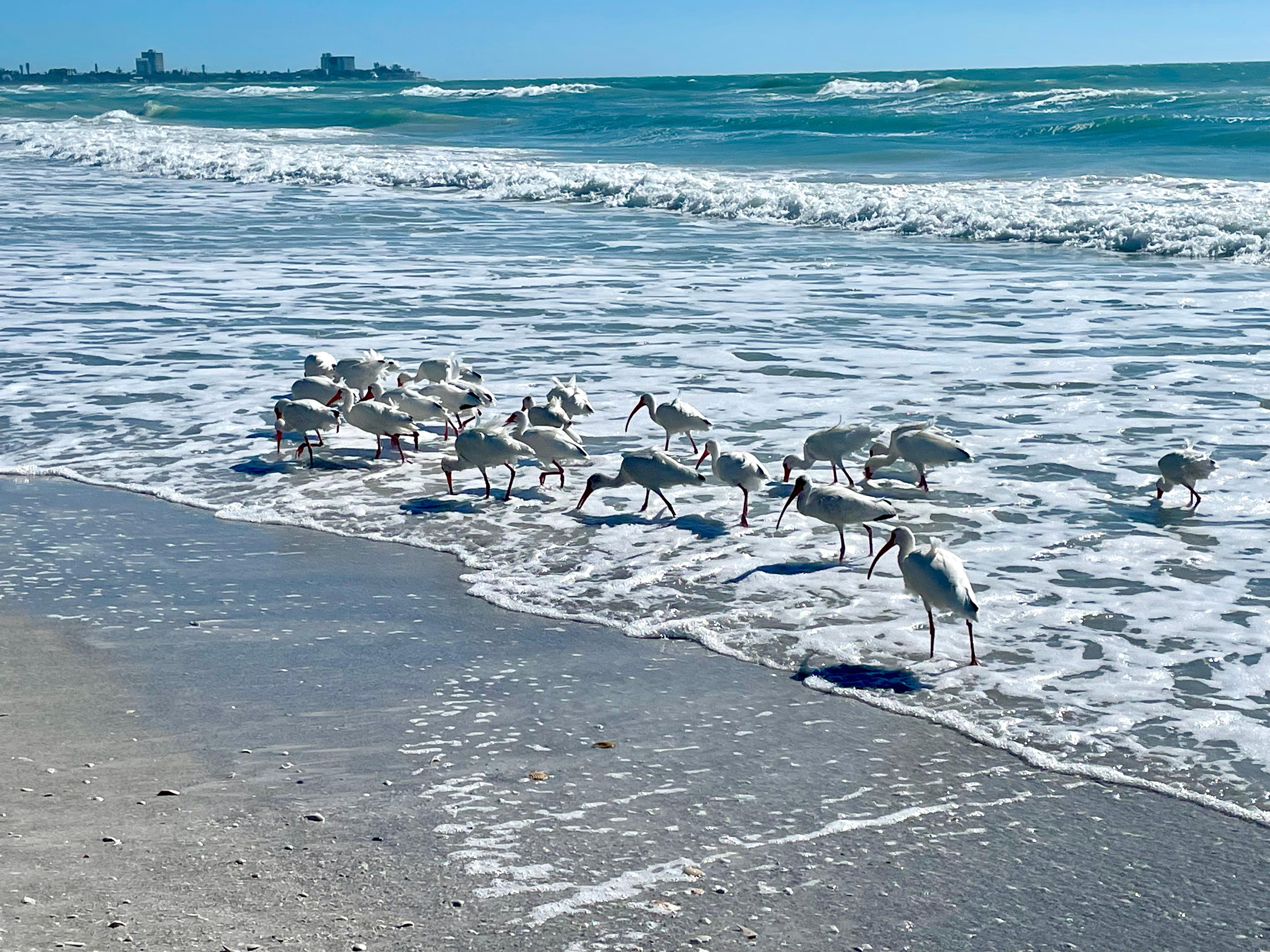 So close to the beach it was wonderful!