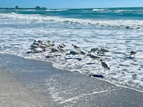 So close to the beach it was wonderful!