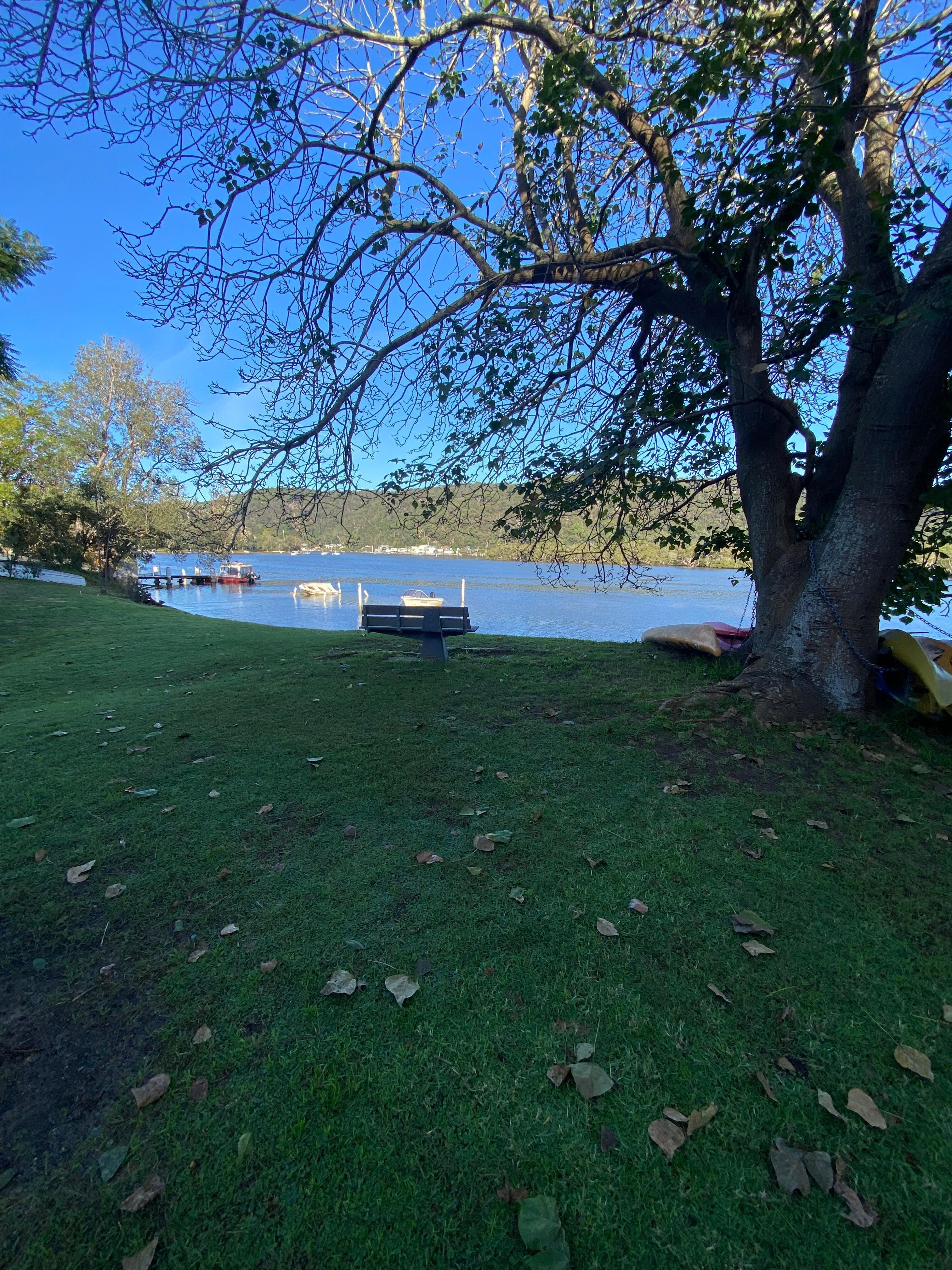 Patonga creek 
