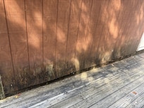Next to the entrance. Probably where the mold smell came from.