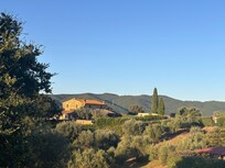 View from top of the hill by the pool