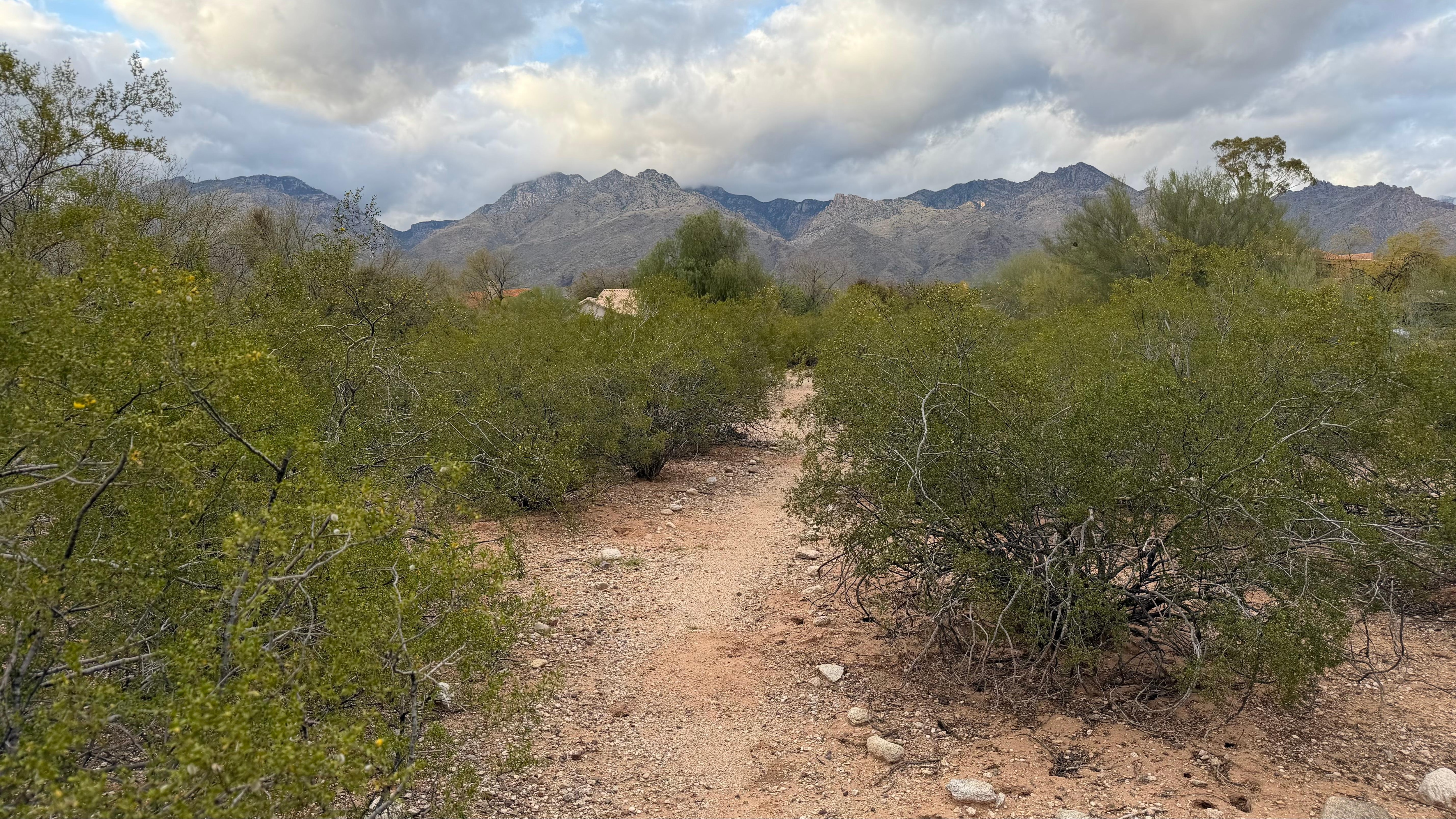 Walking around grounds of condo complex. Trails accessible! 