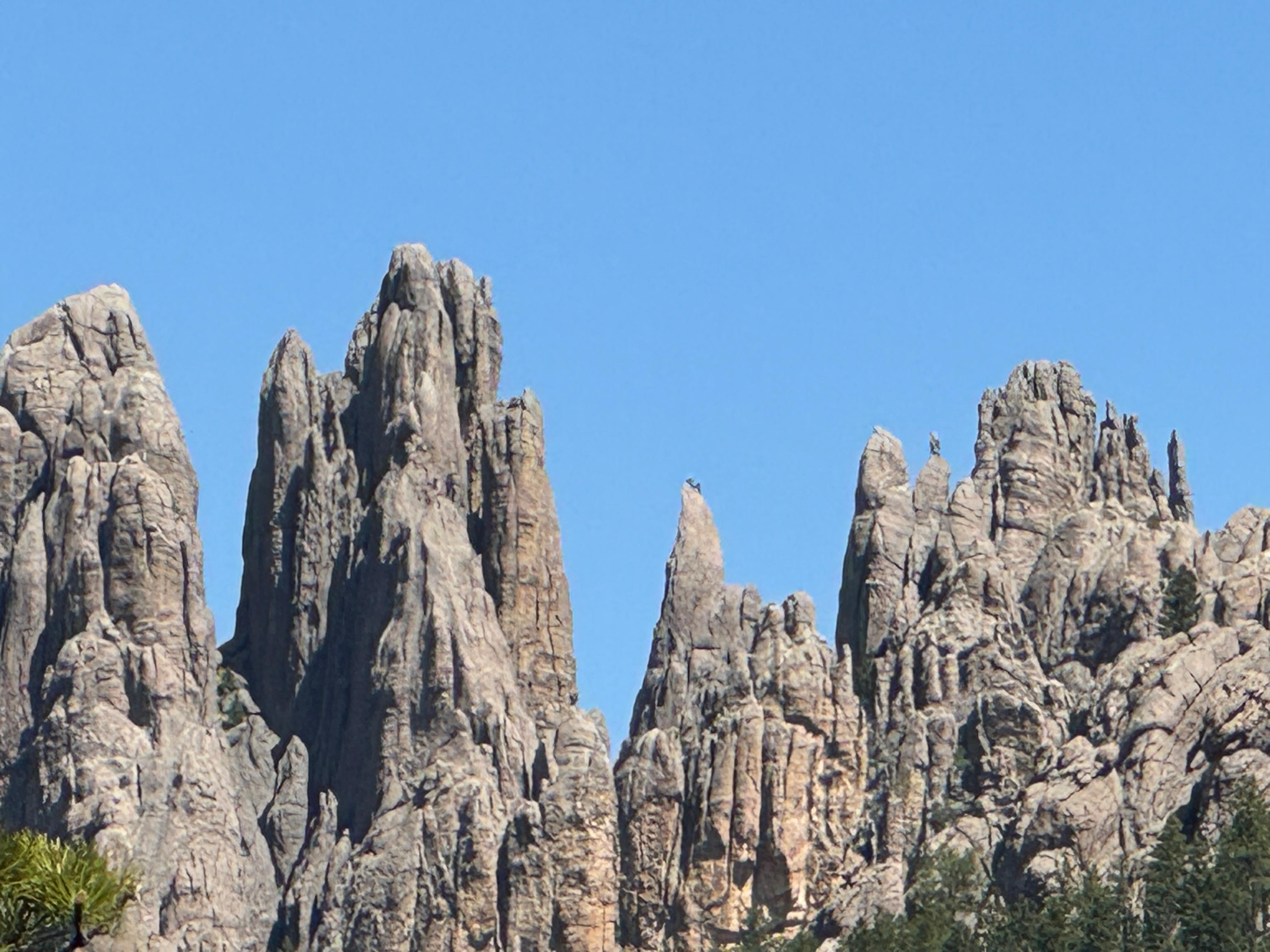 Custer State Park