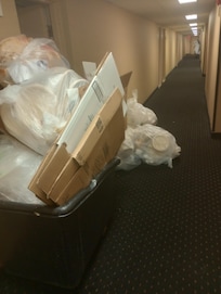 Garbage in hallway rear of kitchen