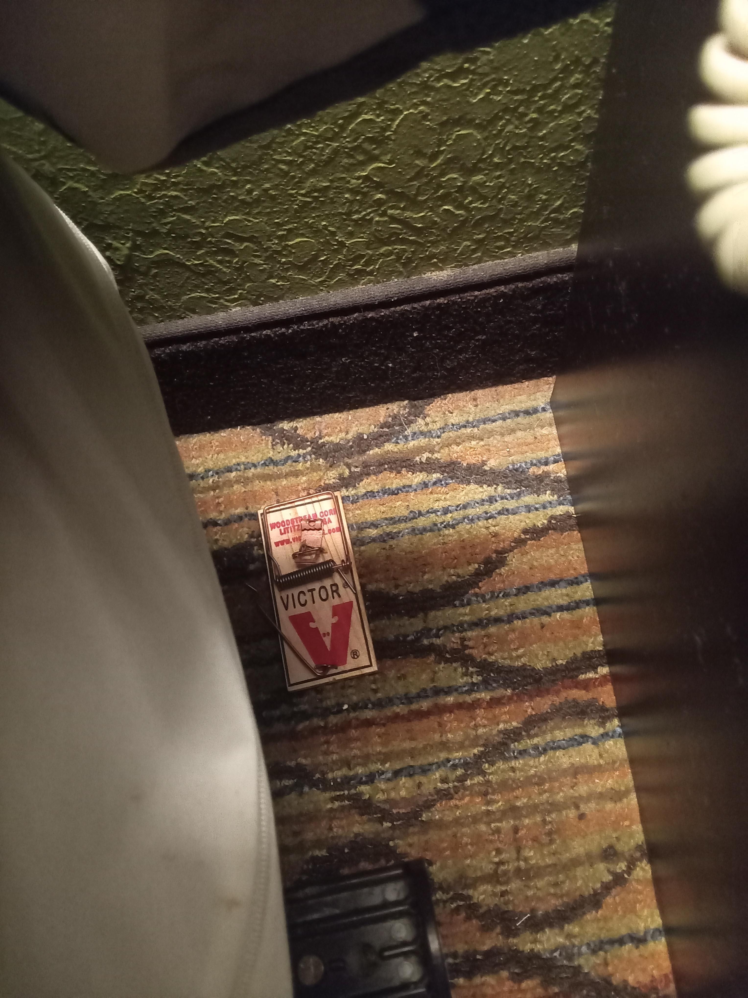 After being moved from a room in the ground level, only to discover the 2nd floor also had rodents. But THIS room had a trap. So obviously management knew they were moving me into a room with the same issue I complained about. 