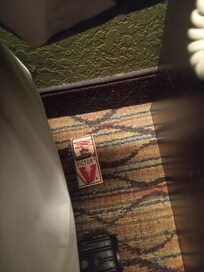 After being moved from a room in the ground level, only to discover the 2nd floor also had rodents. But THIS room had a trap. So obviously management knew they were moving me into a room with the same issue I complained about.
