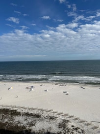View of beach