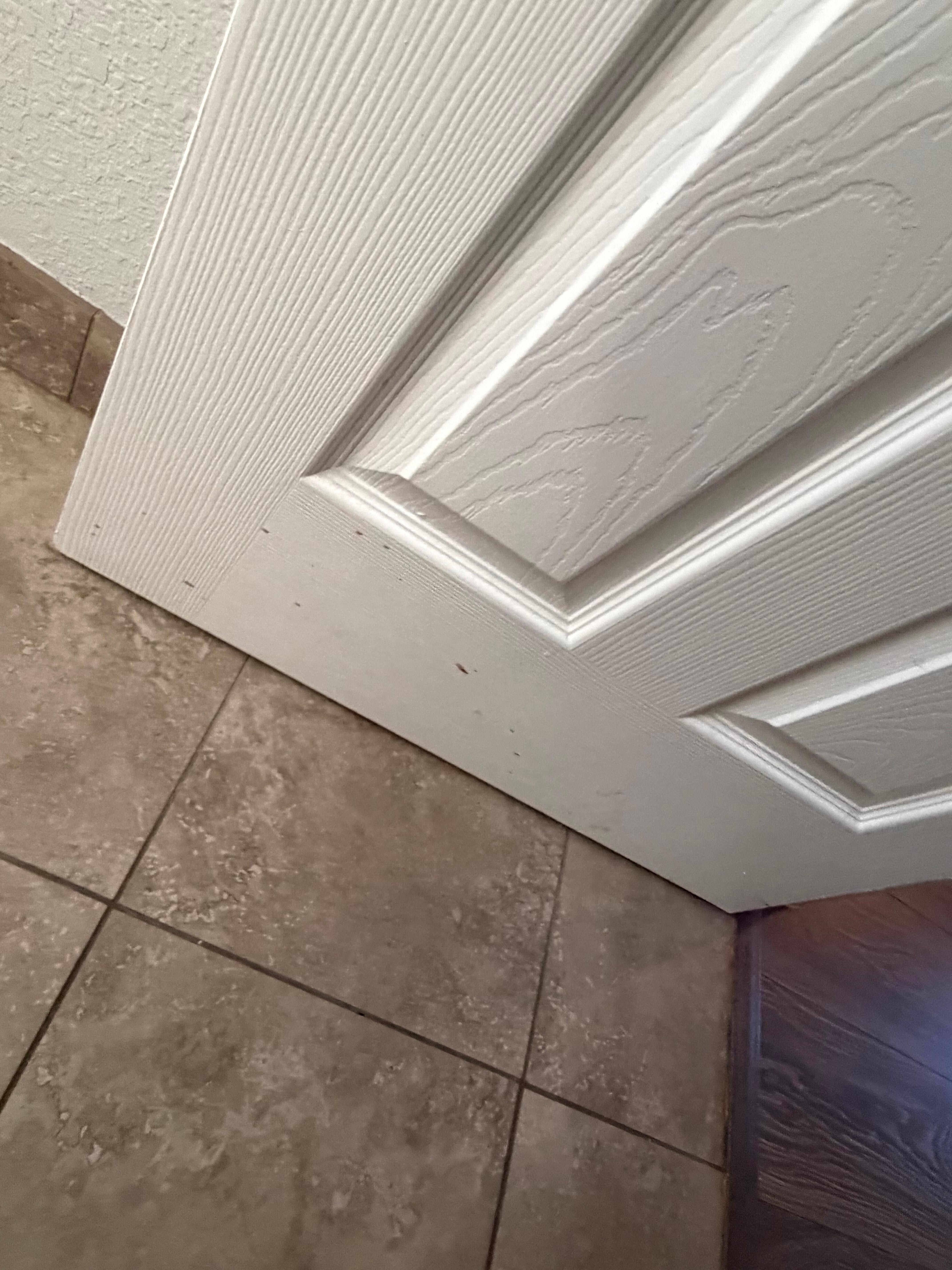 Spots on the bathroom door