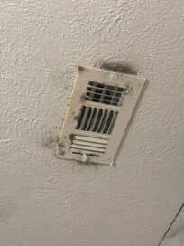 Moldy vent