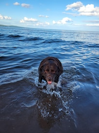 Remington enjoying lake Superior.