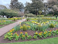 Beacon Hill Park