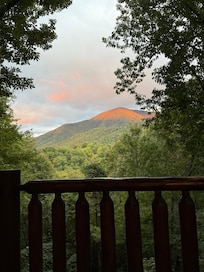 Daily view from the back deck.