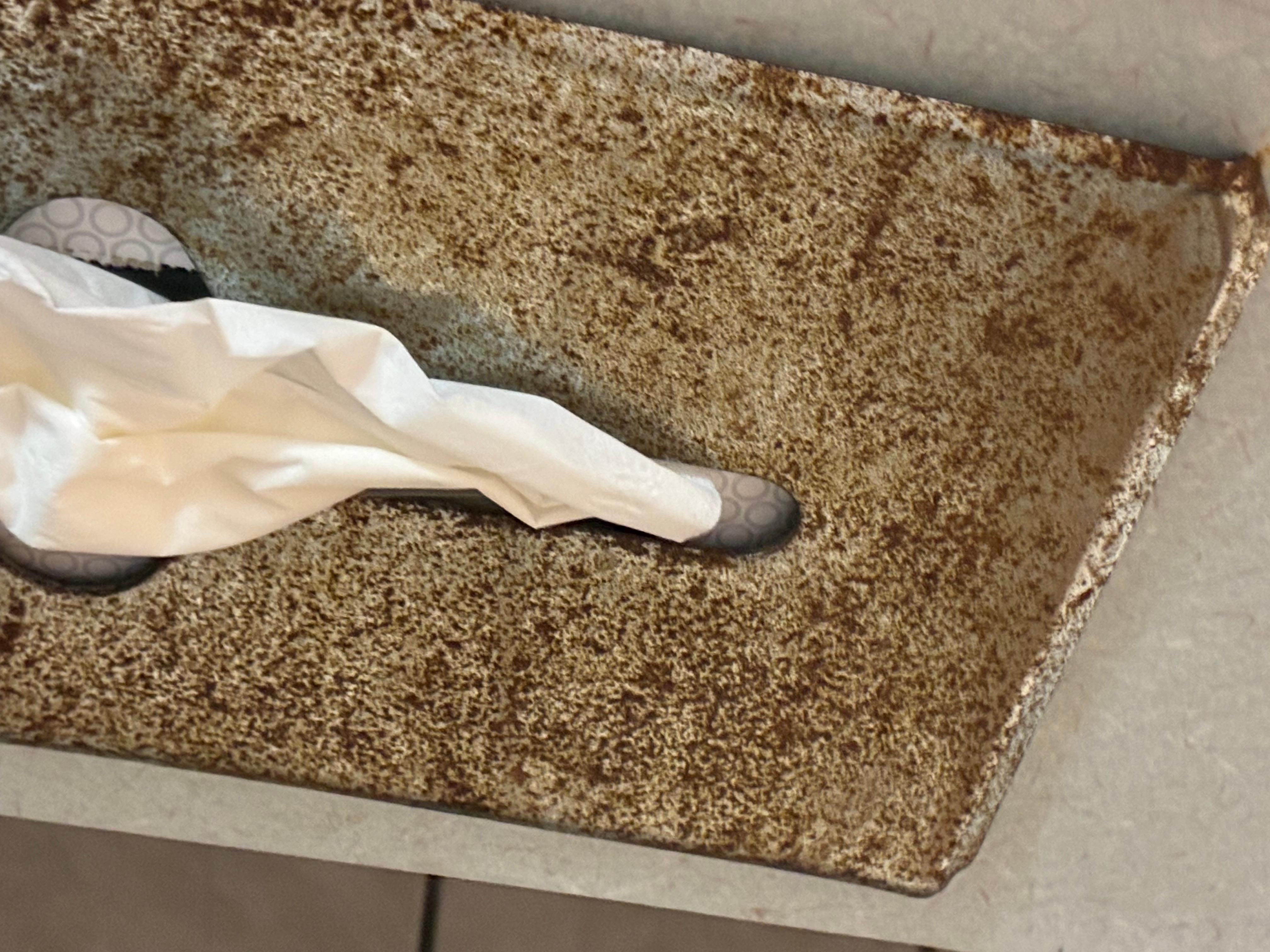 Rusted Kleenex holder in the bathroom. Disgusting. 




