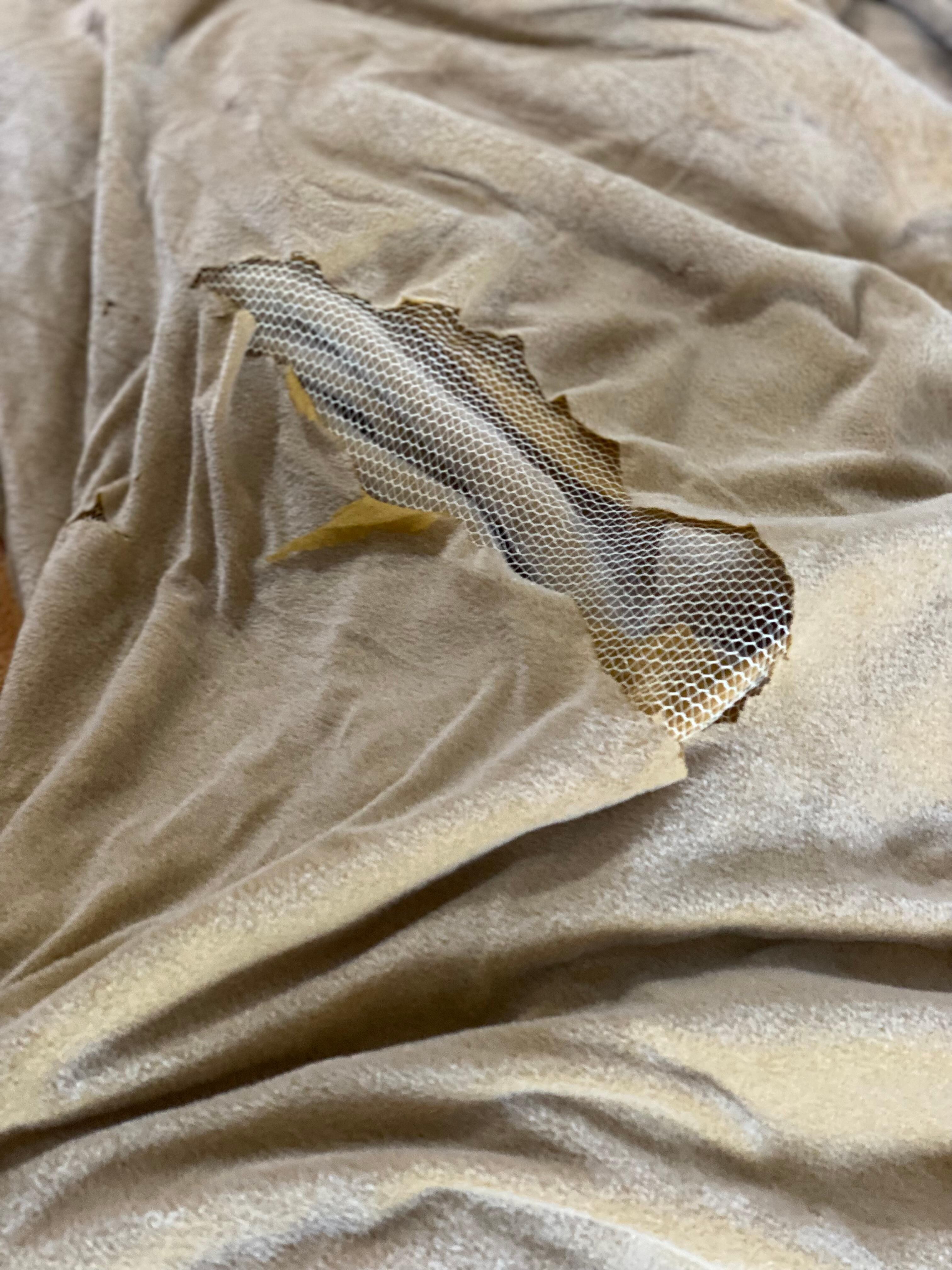 The blanket