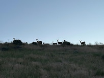 On the drive out in the morning