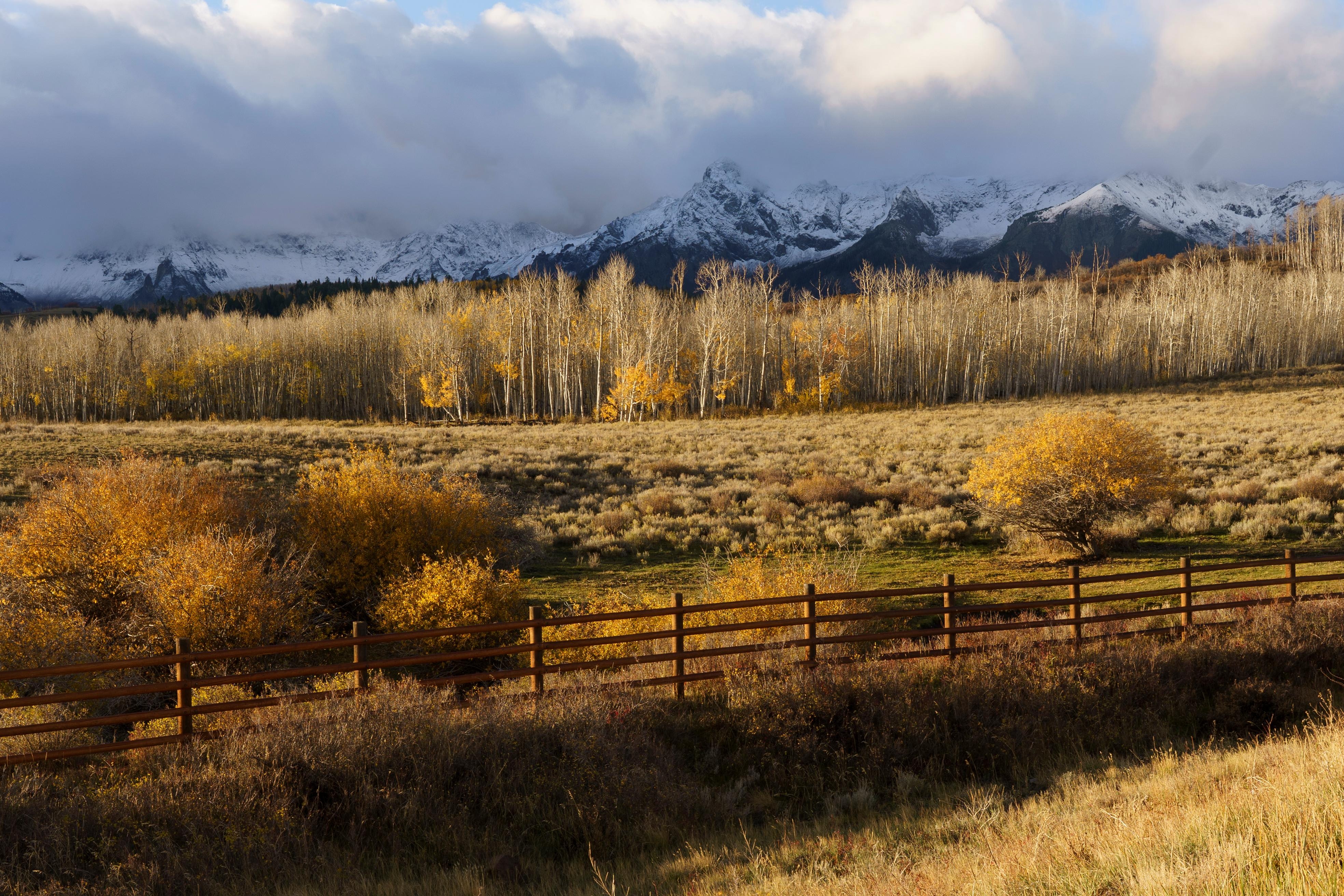 The view from the front of the property