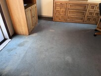 CARPETS ARE GROSS