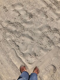 Heart in the sand