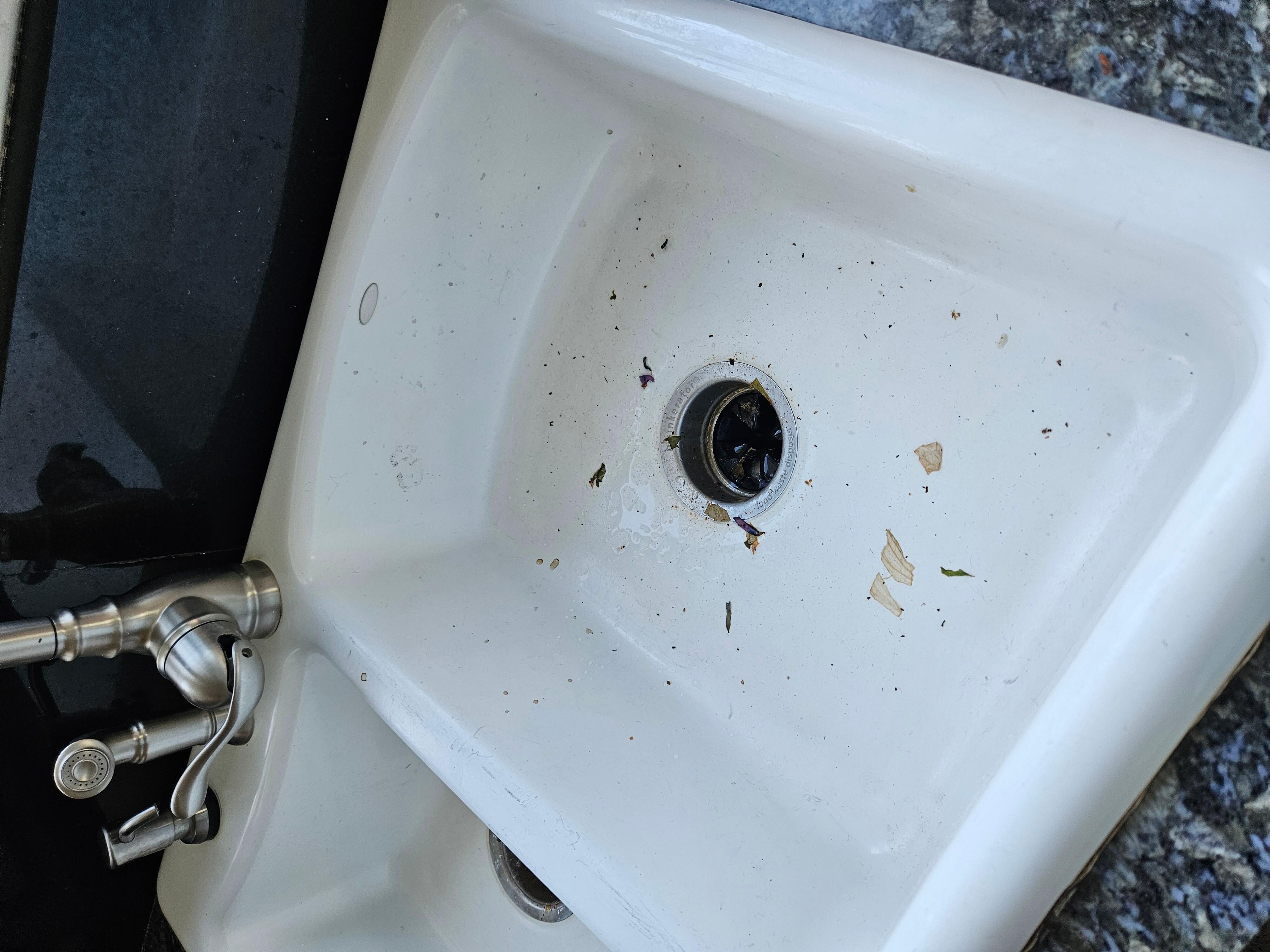 Everytime we used the dishwasher it would stir up old food that was just hanging out in the drain. The smell was awful!