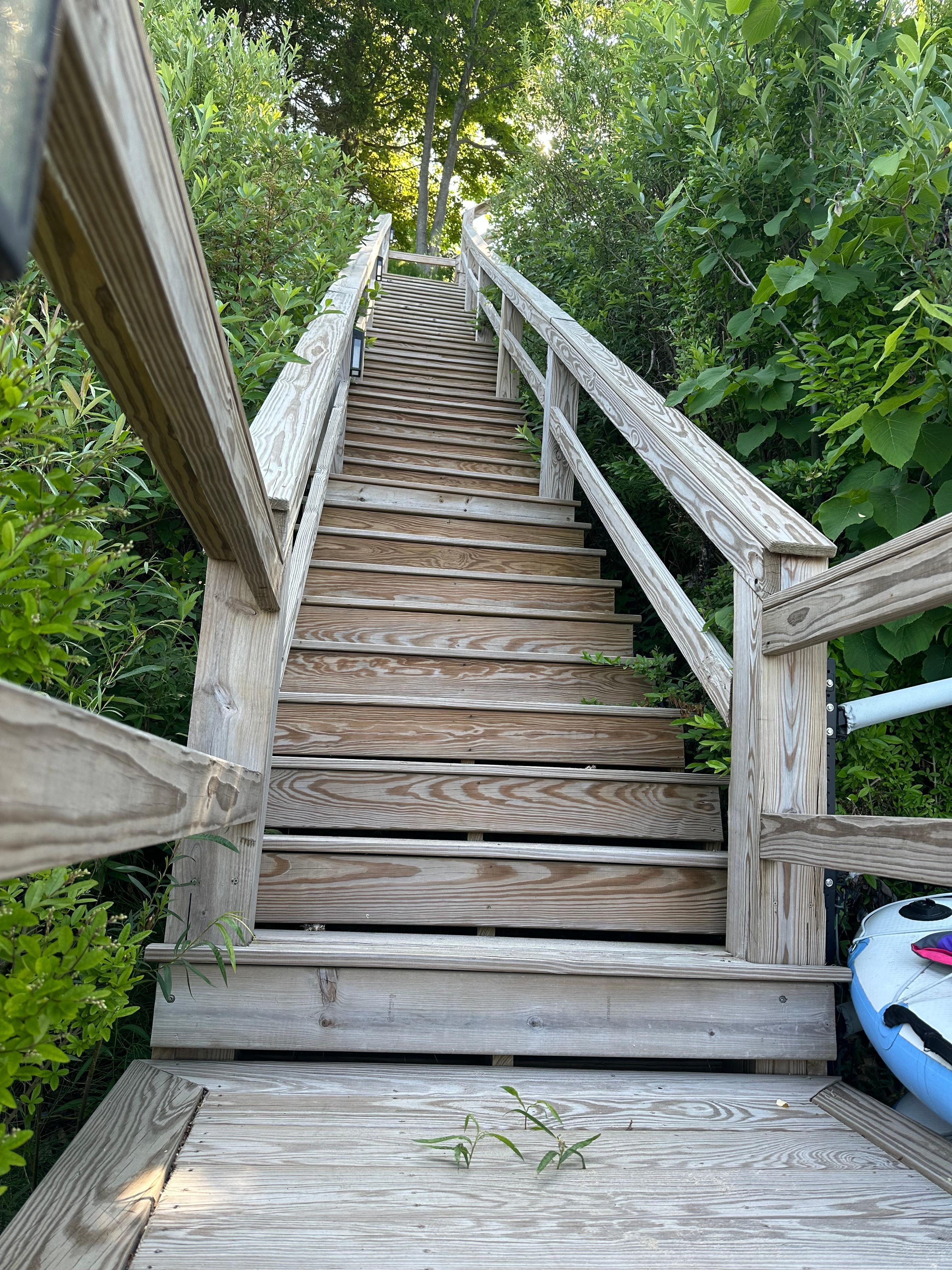 Just run up them-it’s a great workout!