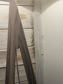 Mold on wall