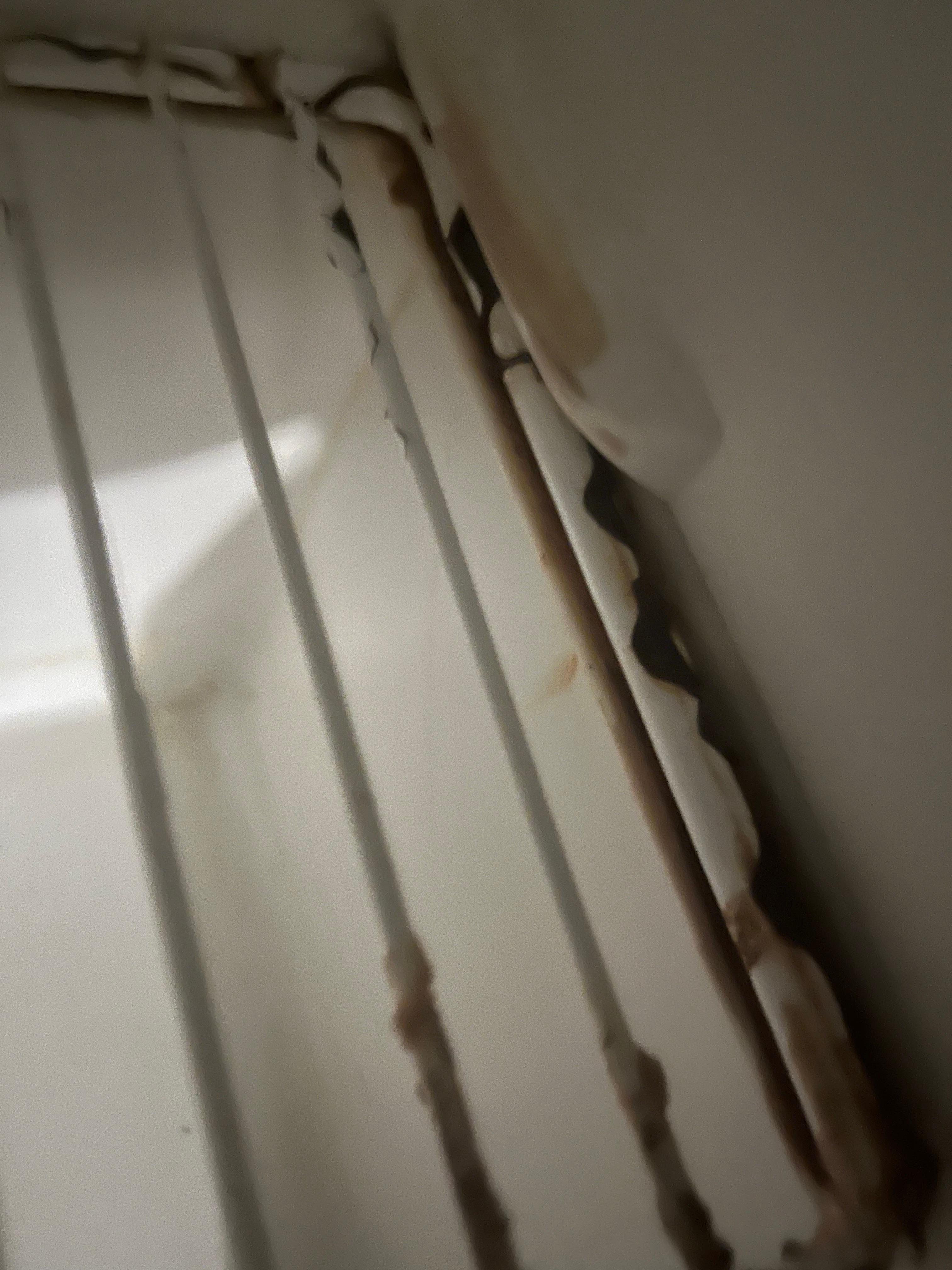 Inside rusty refrigerator 