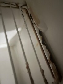 Inside rusty refrigerator