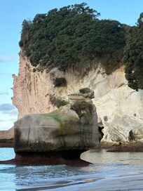 Cathedral cove walk