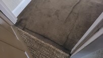 Dirty carpet